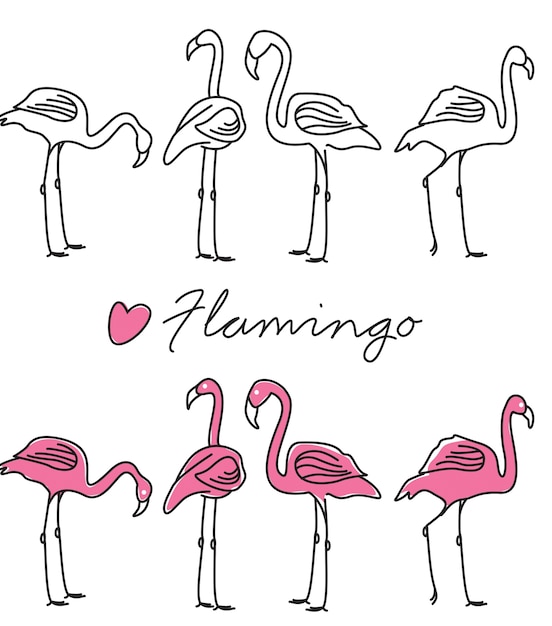 Cute love flamingo