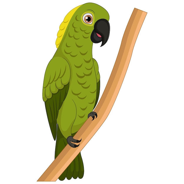 Cute macaw cartoon on tree branch