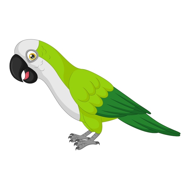 Cute macaw cartoon on white background