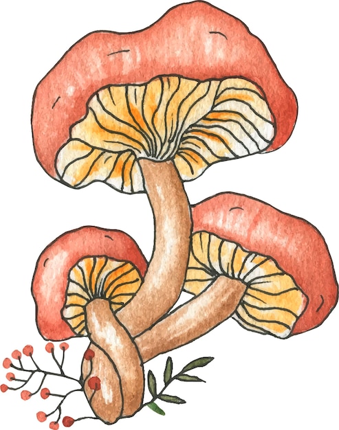 Cute magic mushrooms watercolor illustration.