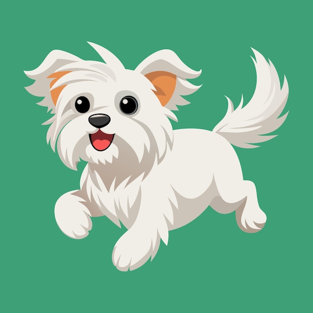 Vector cute maltese dog vector art