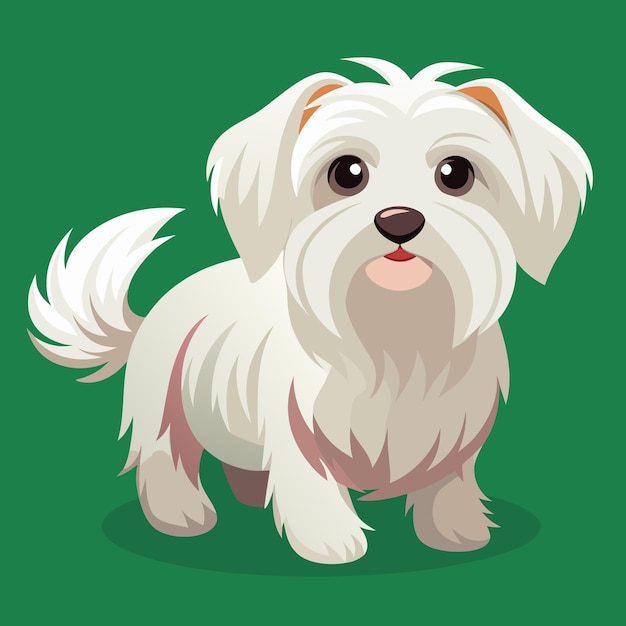 Vector cute maltese dog vector art