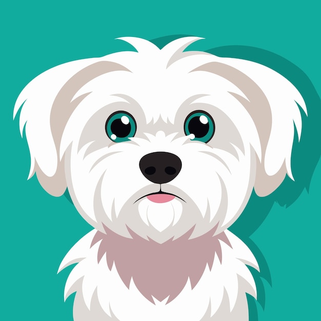 Vector cute maltese dog vector art