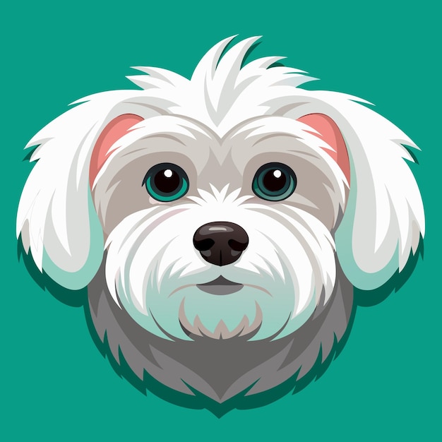 Vector cute maltese dog vector art