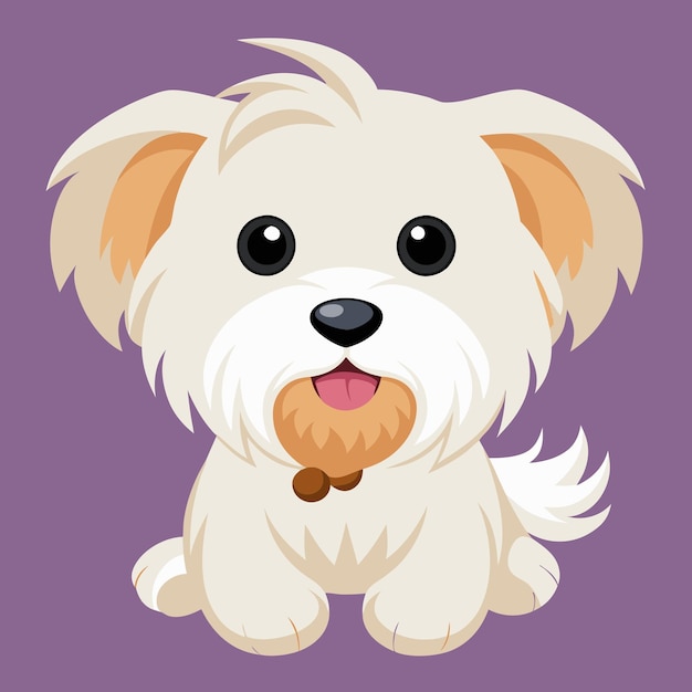 Vector cute maltese dog vector