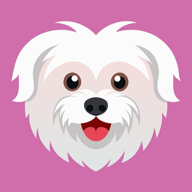 Vector cute maltese dog vector