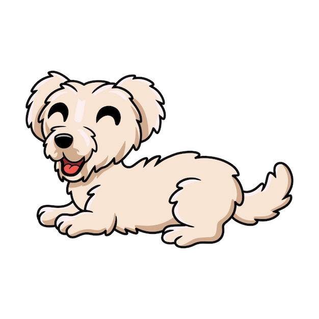 Cute maltese puppy dog cartoon laying down