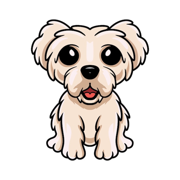 Cute maltese puppy dog cartoon