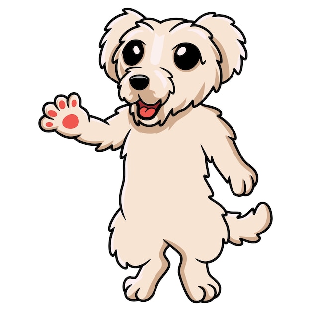 Cute maltese puppy dog cartoon