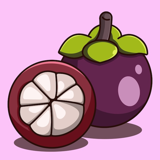 Vector cute mangosteen fruit illustration vector mangosteen cut in half art