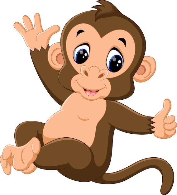 Vector cute monkey cartoon