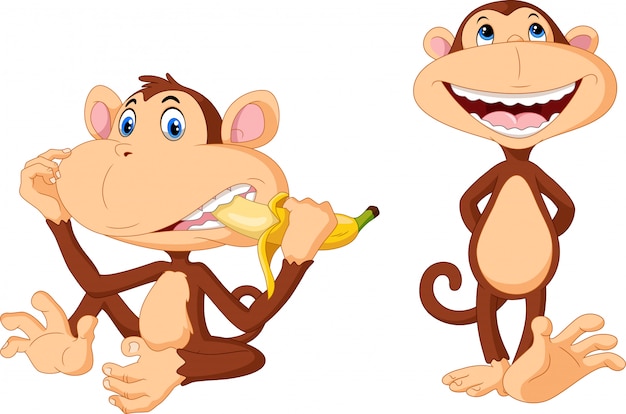 Cute monkeys cartoon