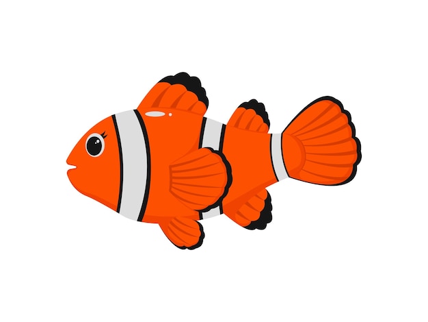 Cute Nemo Fish Sea Animals Illustration