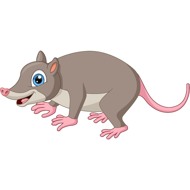 Cute opossum cartoon on white background