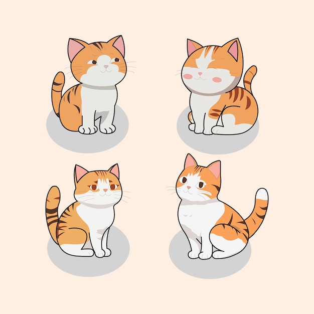 cute orange cats facing each other