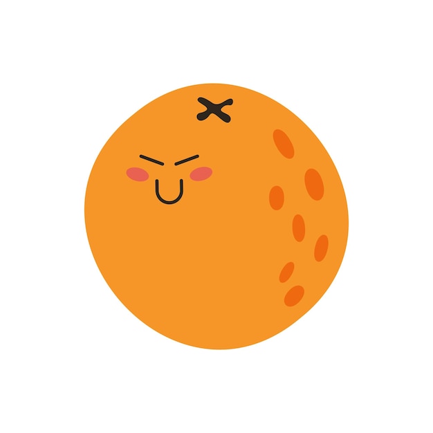 Cute Orange Vector Fruit Illustration