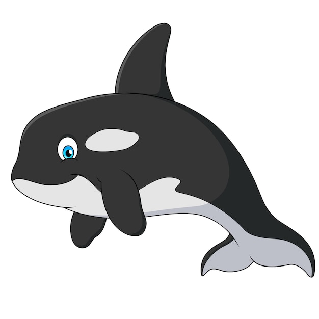 Cute orca cartoon illustration Killer whale cute cartoon