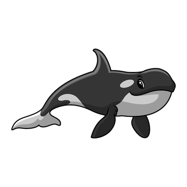 Vector cute orca cartoon a swimming