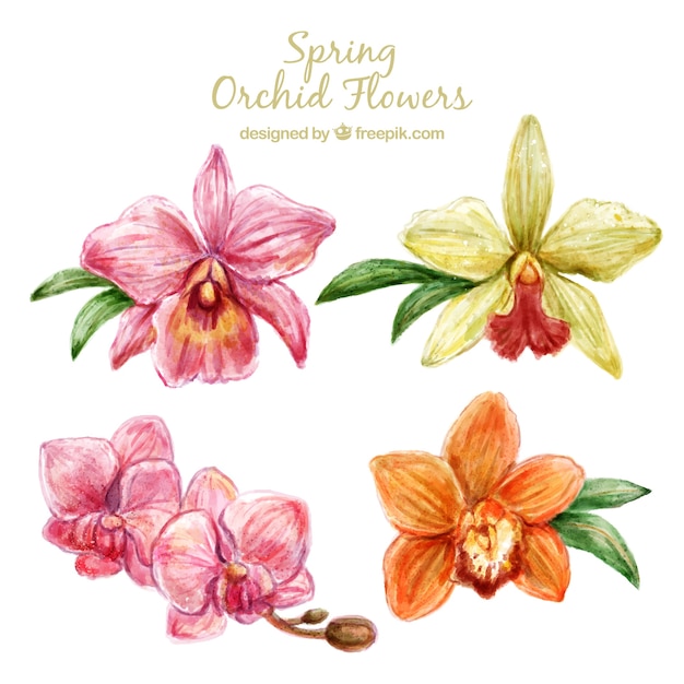 Cute orchid flowers design