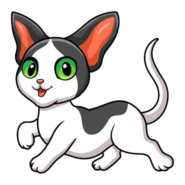 Cute oriental cat cartoon walking