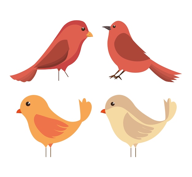 cute ornamental bird icon 