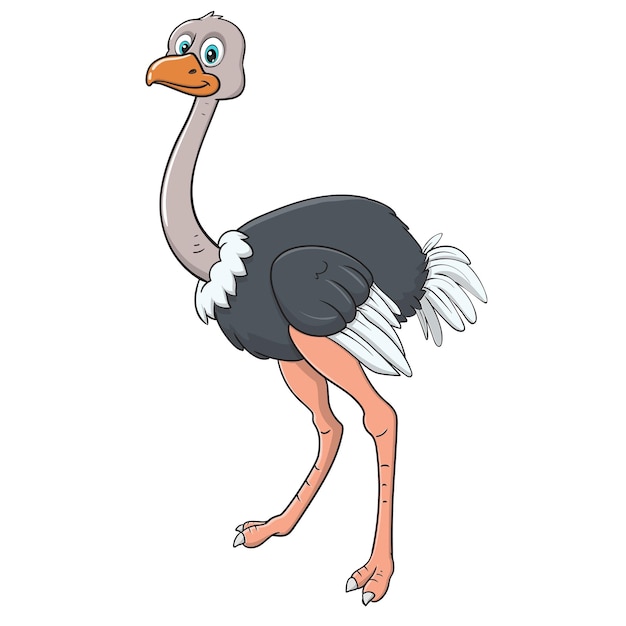 Cute ostrich cartoon