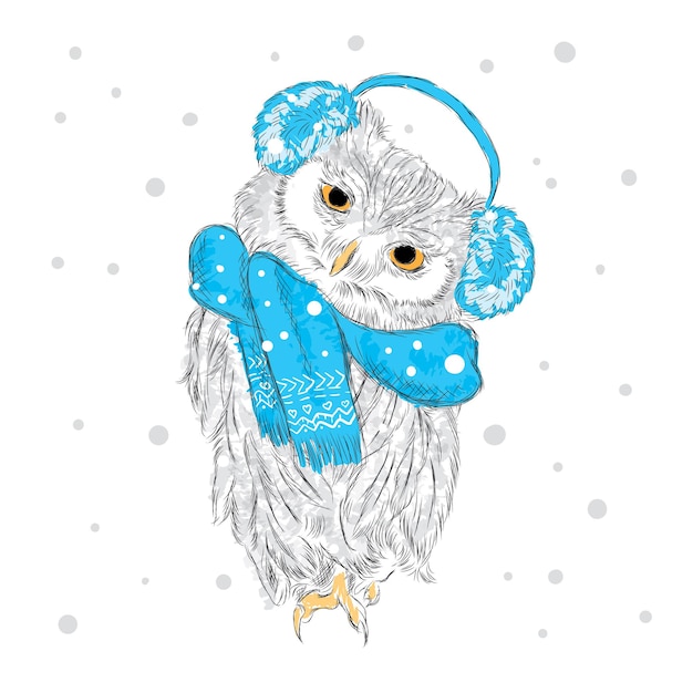 Cute owl in Christmas clothes New Year