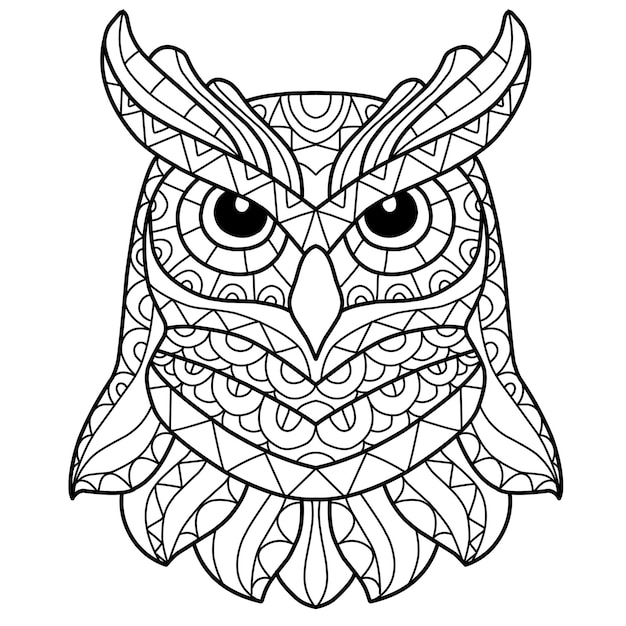 Cute owl coloring book zentangle hand drawn isolated on white background