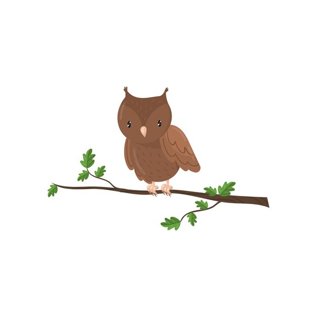 Cute owl woodland cartoon bird vector Illustration