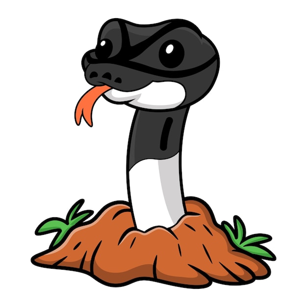 Cute panda pied ball python cartoon out from hole