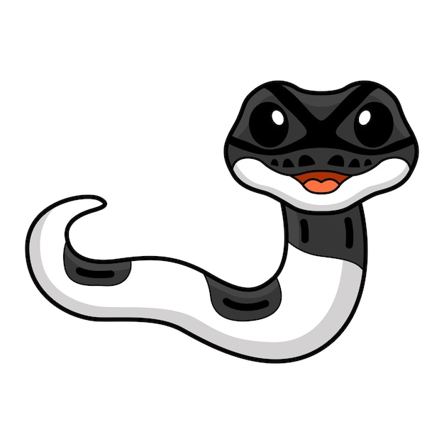 Cute panda pied ball python cartoon