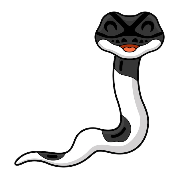 Cute panda pied ball python cartoon