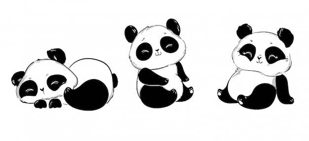 Cute panda set.   illustration. Children print on t-shirt.