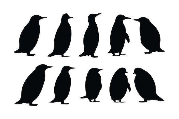 Cute penguin standing silhouette set on a white background Wild flightless bird silhouette bundle design Herbivorous penguins standing in different positions Penguin full body silhouette collection