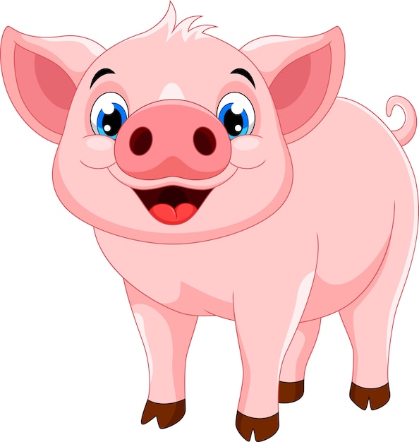 Cute pig cartoon