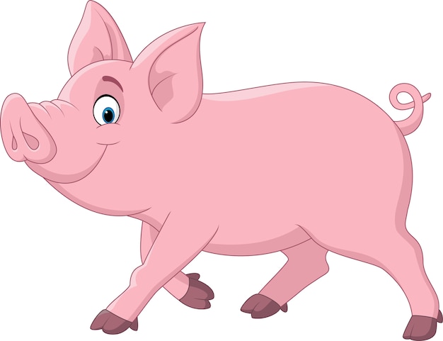 Cute pig cartoon