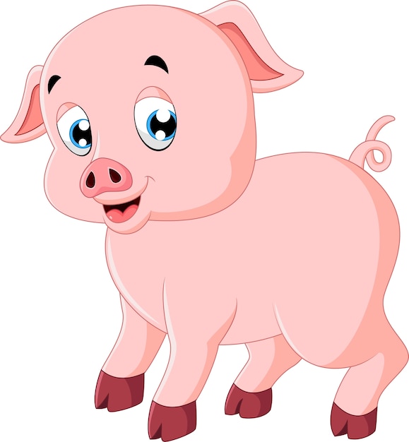 Cute pig cartoon