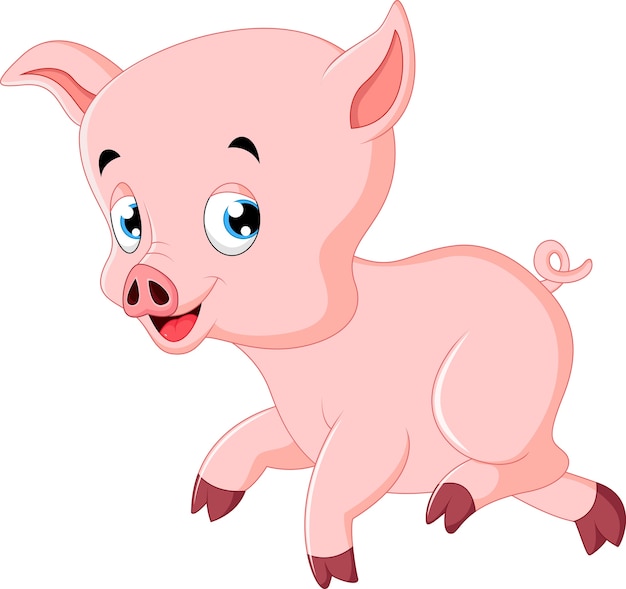 Cute pig cartoon