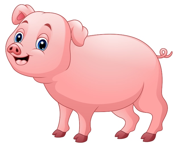 Cute pig cartoon 