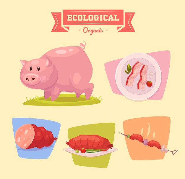 Cute pig farm animal . Illustration of isolated farm animals set on colored background.  Flat  illustration.