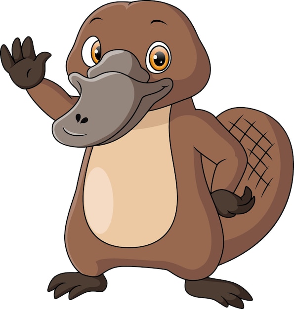 Vector cute platypus cartoon on white background