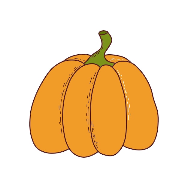 Cute pumpkin Thanksgiving and halloween element Vector illustration in hand drawn style