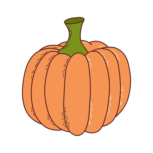 Cute pumpkin Thanksgiving and halloween element Vector illustration in hand drawn style