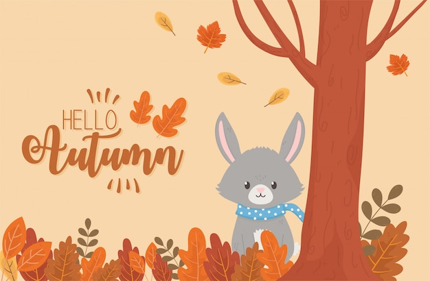 Cute rabbit in autumn season 