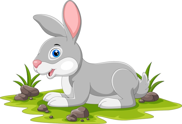 Cute rabbit cartoon