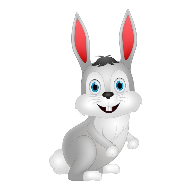 Cute rabbit cartoon