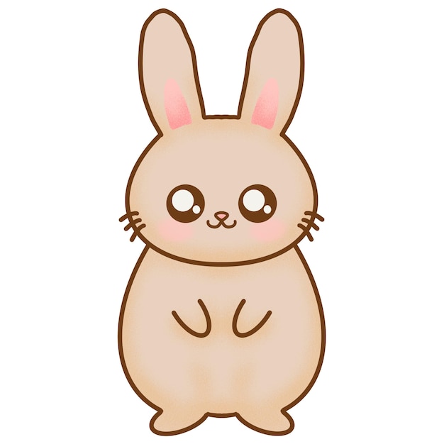 Cute Rabbit Illustration