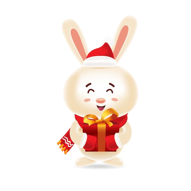 Cute rabbit with red cap and red scarf carrying a gift box for christmas with isolated 