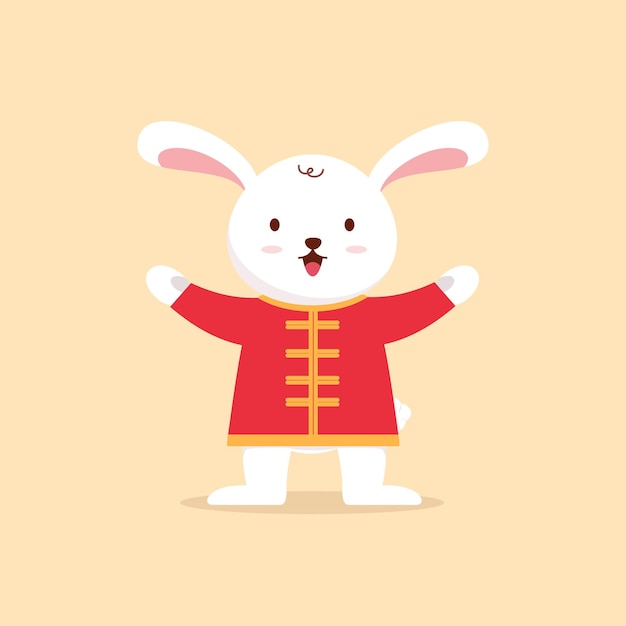 Cute Rabbit year of rabbit chinese new year