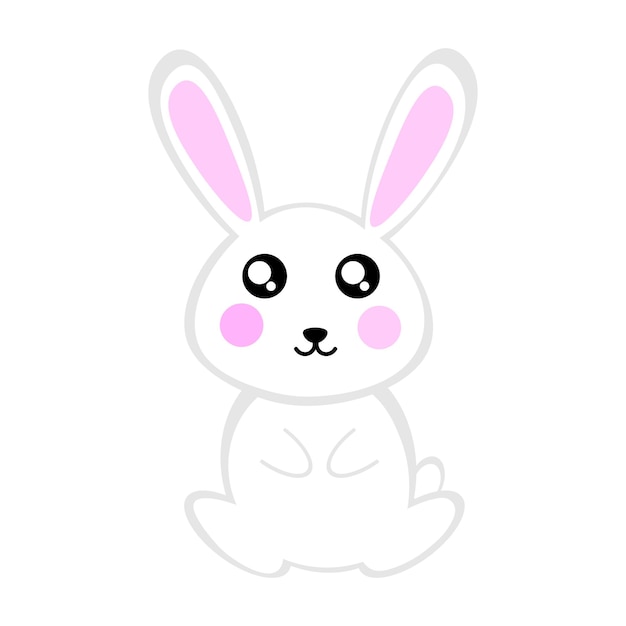 Cute rabbit